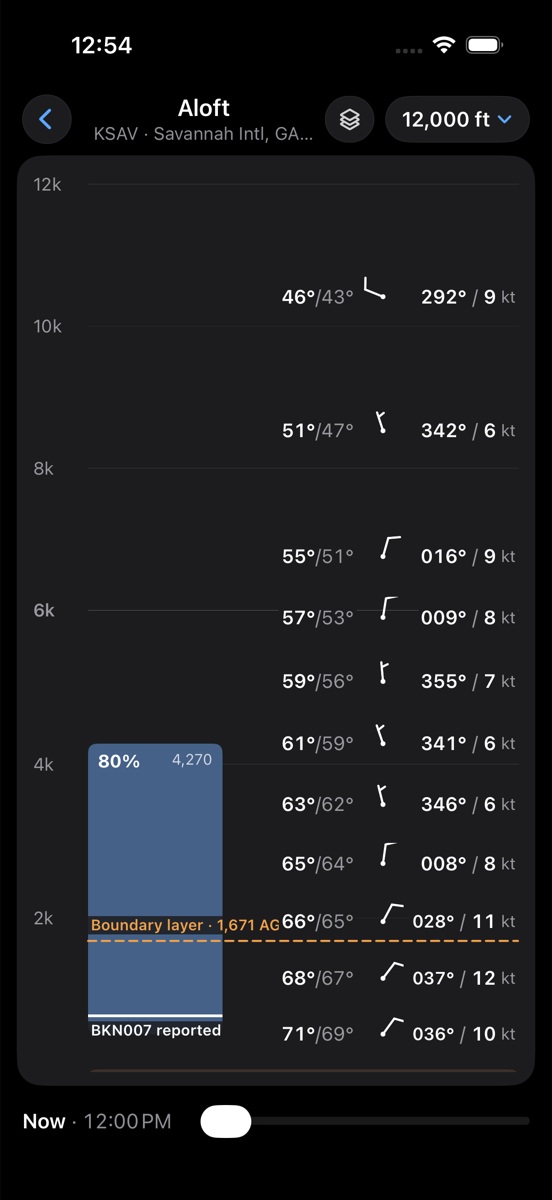 Clouds, winds and temperatures by altitude over the field, in dark mode